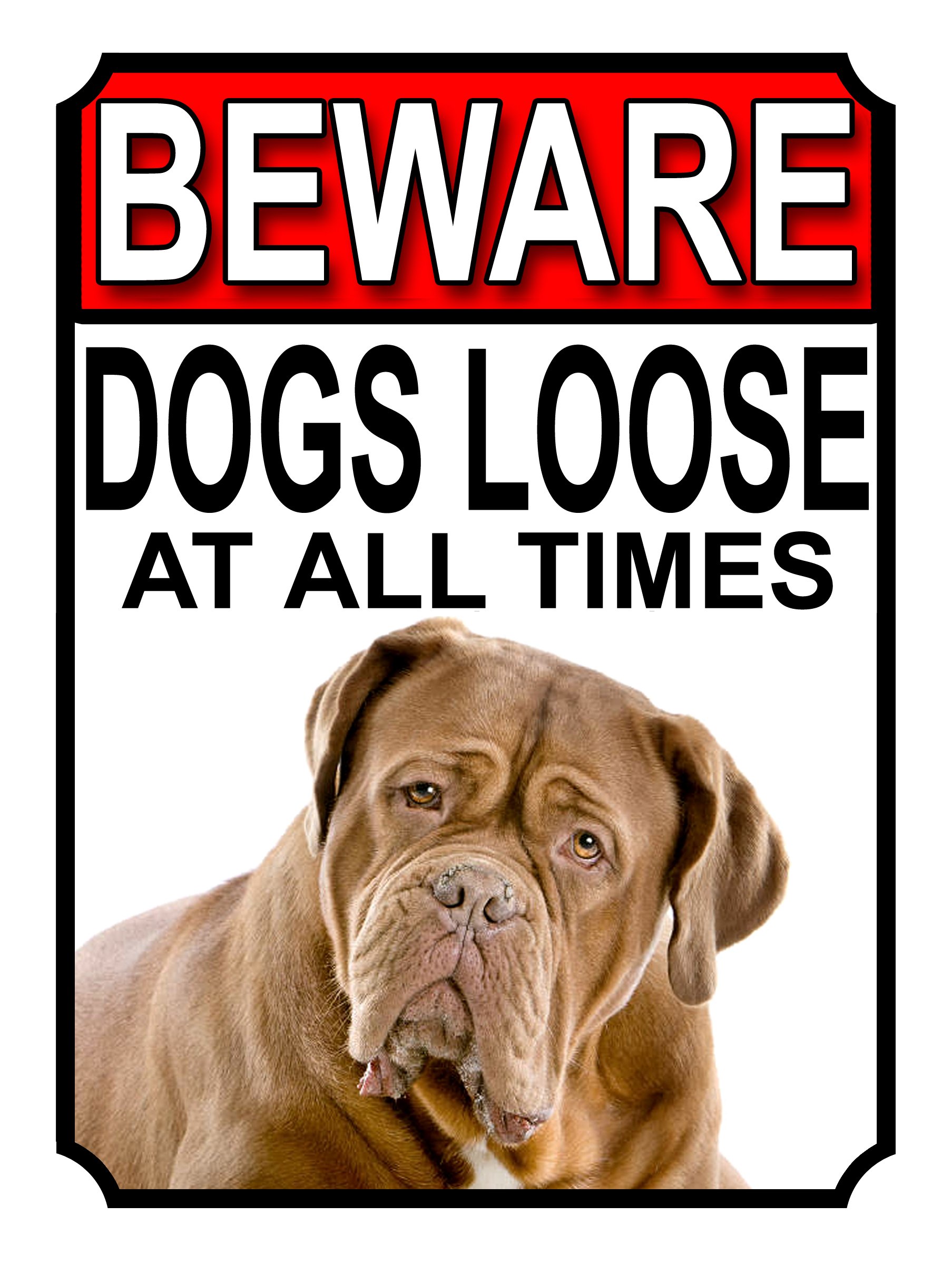 SHAWPRINT BEWARE DOGS LOOSE AT ALL TIMES METAL SIGN DOGUE DE BORDEAUX 200MM X 150MM (997H1) โ image 1