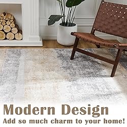 jinchan Area Rug 2x3 Washable Rug Doormat Modern