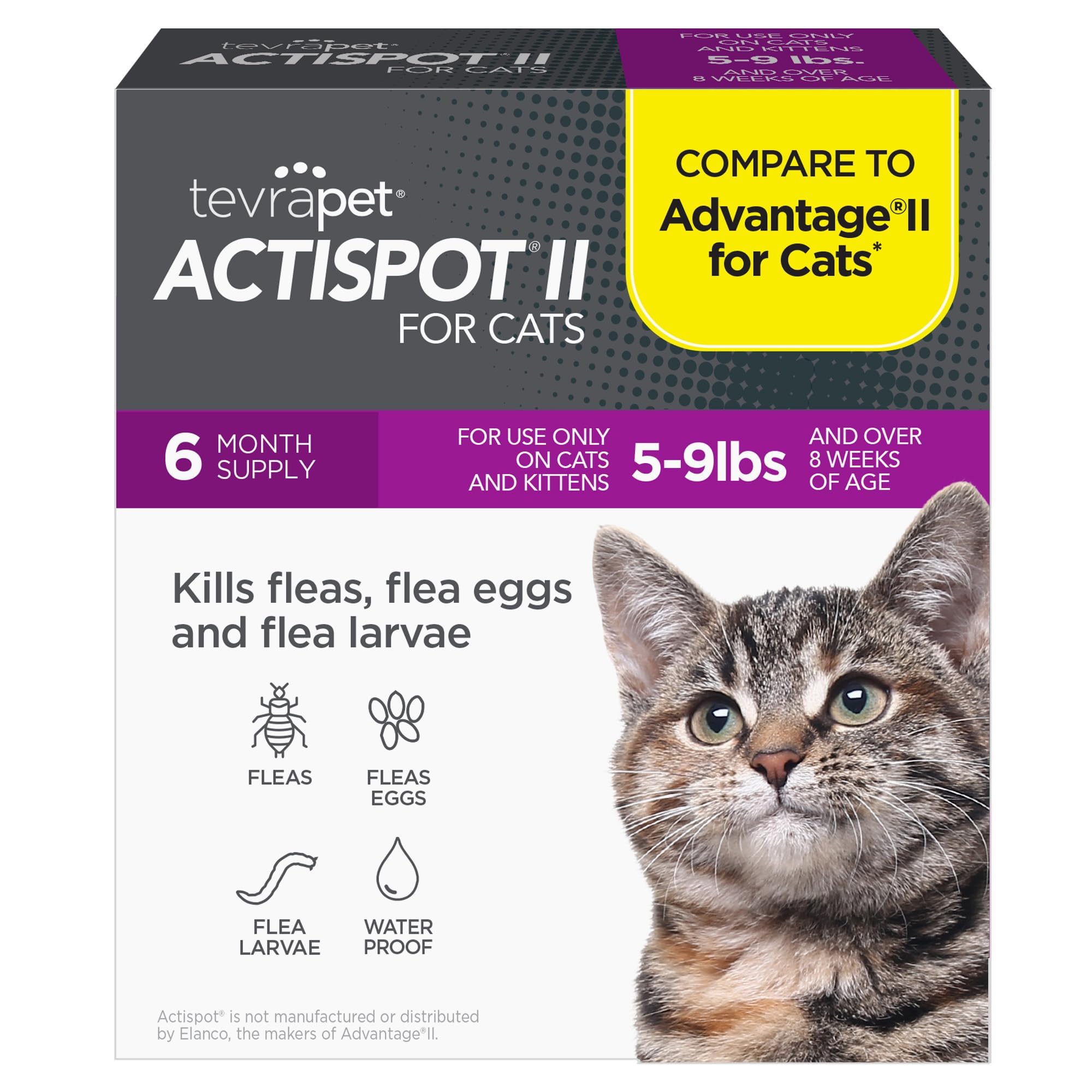 TevraPet Actispot II Flea Treatment for Small and