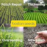 Boston Seeds Fast Growing Grass Seed 20kg Hard Wearing Lawn Seed view 5