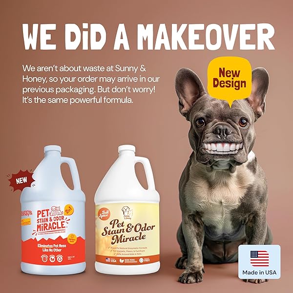 SUNNY & HONEY PET STAIN AND ODOR REMOVER – ENZYME CLEANER FOR DOG URINE AND POOP ON CARPETS AND FURNITURE – STRONG PET CARPET CLEANER SPRAY (1 GALLON FALL SPICE)