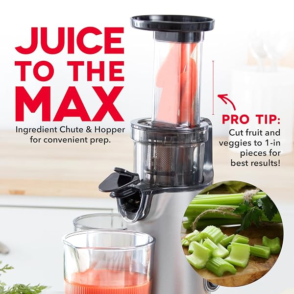 DASH DELUXE COMPACT COLD PRESS JUICER – SLOW MASTICATING JUICER MACHINE FOR FRUITS AND VEGETABLES WITH FROZEN ATTACHMENT – EASY TO CLEAN JUICE PRESS FOR HOME COUNTERTOPS – GRAPHITE