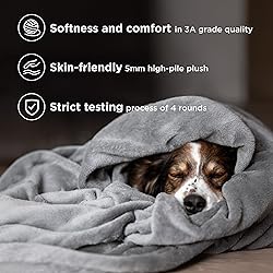 Bedsure GentleSoft Fleece Bed Blankets Queen Size