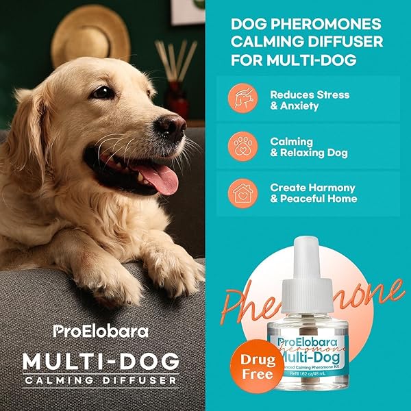 PROELOBARA DOG CALMING PHEROMONE PLUG DIFFUSER: DOG CALMING PHEROMONES DIFFUSER – REDUCES STRESS & ANXIETY CALMING PHEROMONE DIFFUSER FOR DOGS – CALM DOGS 60 SUPPLY