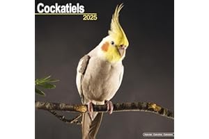 Cockatiels Calendar 2025 | Square Bird Wall Calendar - 16 Month