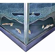 thumbnail interactive-video image 1 of Aquarium Underground Cave Dome | Viewing Fish & Curacao 1 of 10