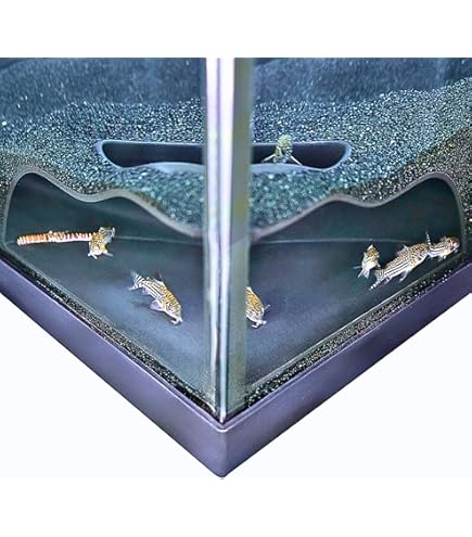 Ranjaner Grotte Tunnel Souterraine Pour Aquarium, Cachette Décorative Pour Aquarium, Courbe Naturelle, Deux Trous Pour Observer Les Poissons Et Les Crevettes Sous Le Tunnel De Gravier Pour éviter Les