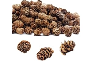 Deloky 400 PCS Christmas Natural Mini Pine Cones- Thanksgiving Pine Cones Ornaments- Fall Small Pinecones Vase Fillers for DIY Crafts, Home Decorations, Fall and Christmas, Wedding Decor