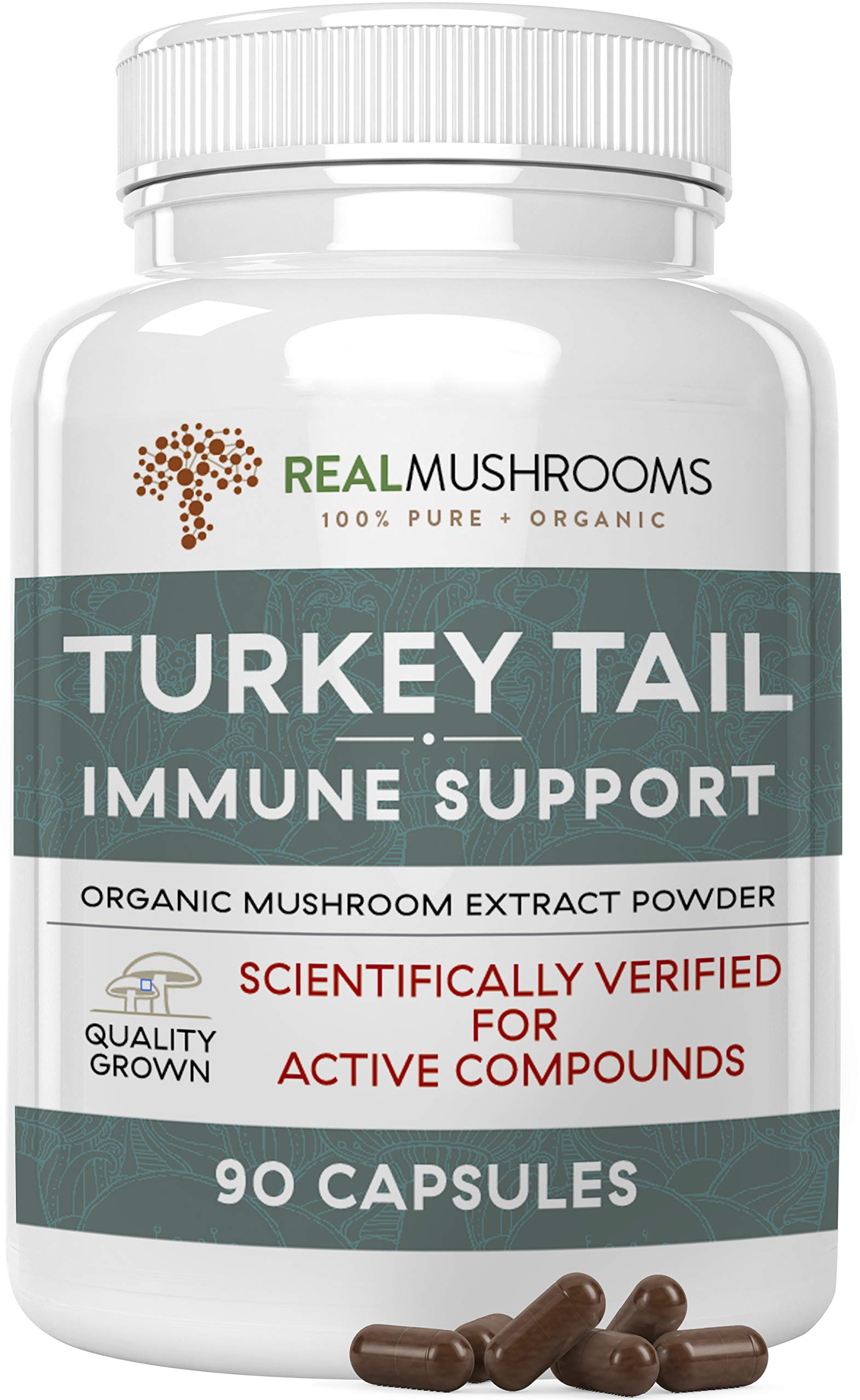 Real Mushrooms Turkey Tail Mushroom Supplements for Immune Support