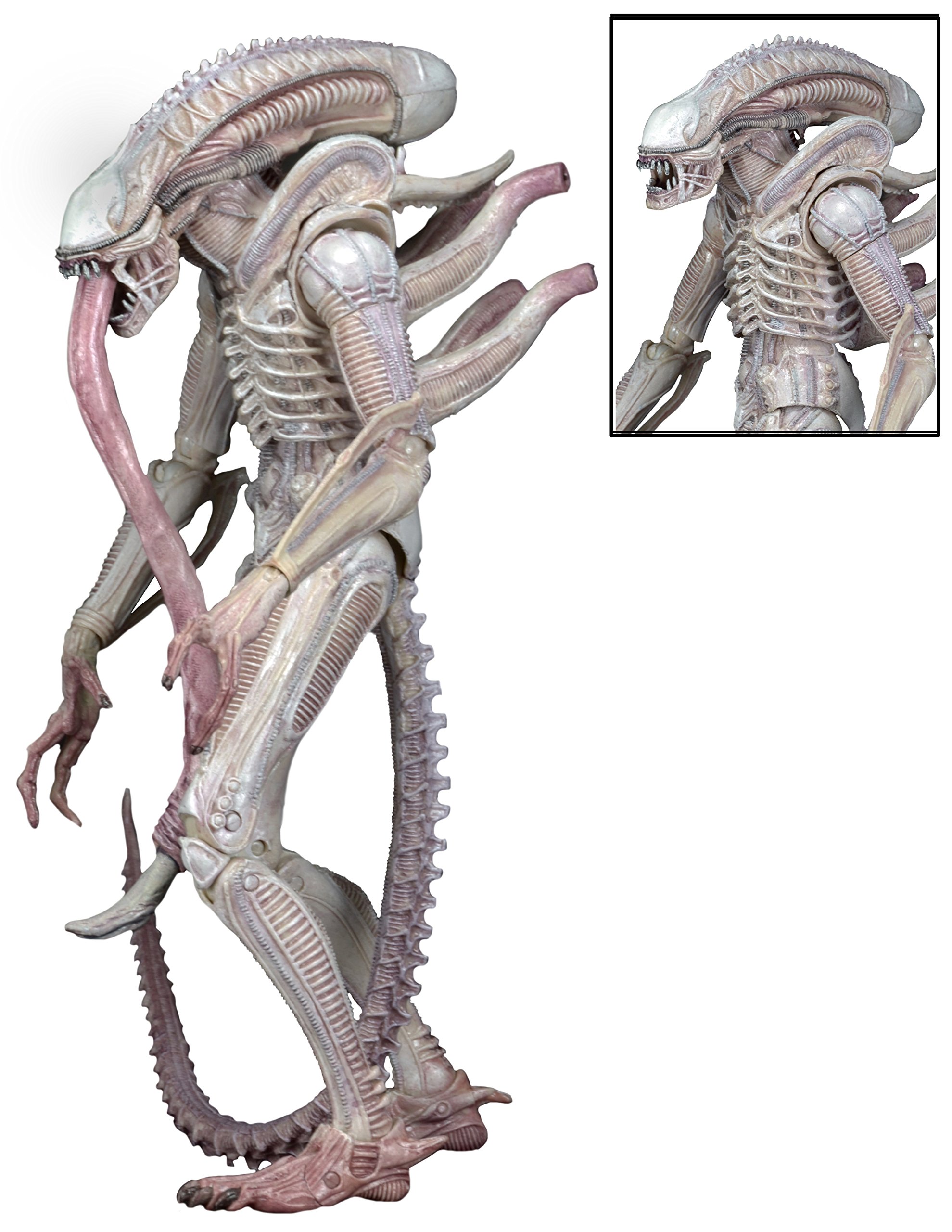 NECA Aliens 7" Scale Series 9 Xenomorph ALBINO Drone Action Figure