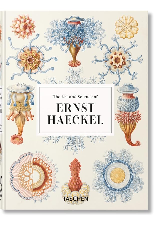 Codex Seraphinianus: 40th Anniversary Edition | Amazon.com.br