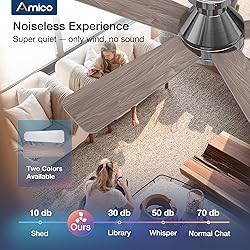 Amico Ceiling Fans with Lights, 42 Inch Low Profile