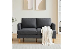 Busaurus Loveseat Sofa with Deep Seats, 56" Small Couches for Small Spaces, Mid Century Modern Love Seat Couches for Living Room, Upholstered 2-Seater Small Sofa Couch for Bedroom, Office, Dark Grey