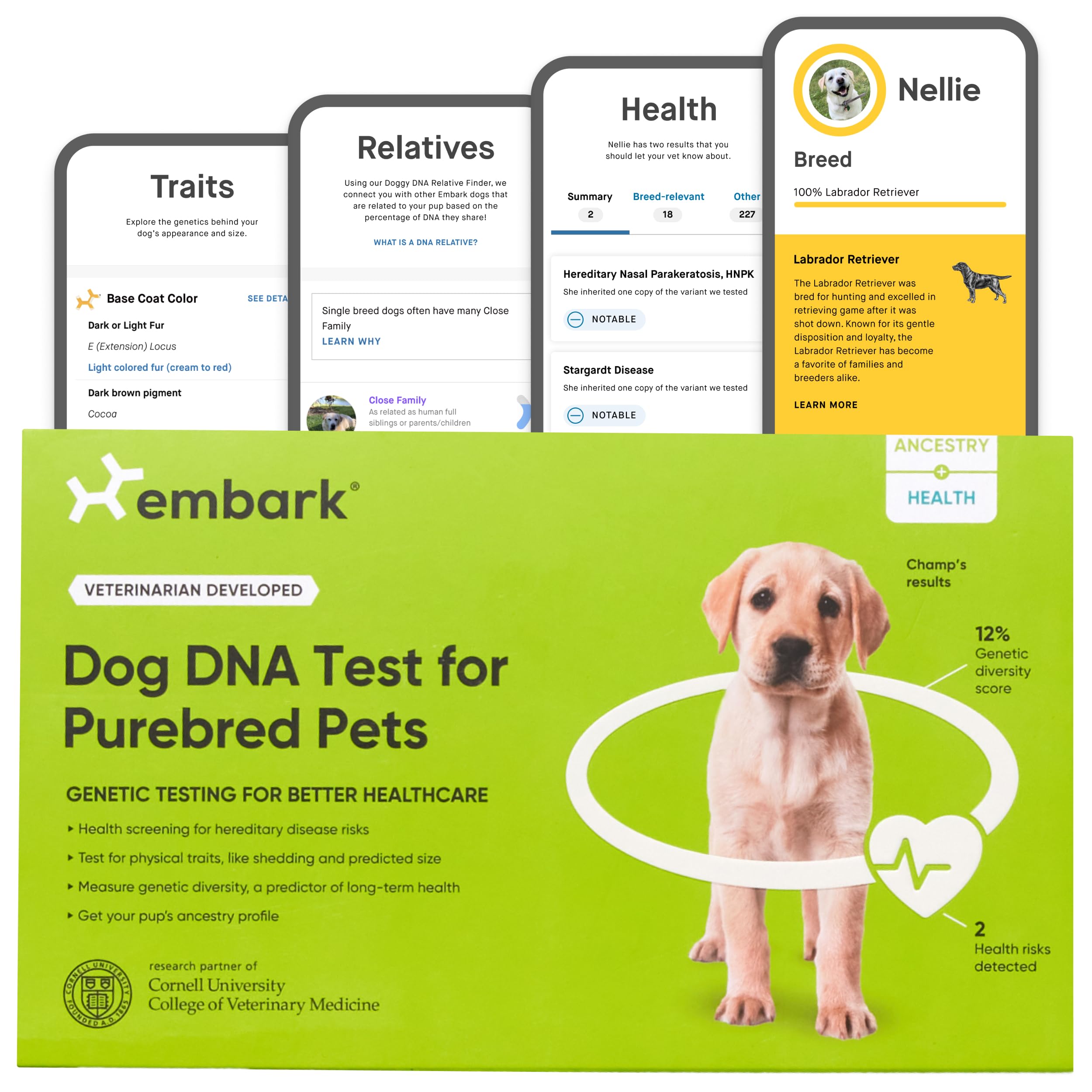 Ancestry Dog Dna Blood Test Accuracy Ancestry Com Dog Ancestry Kit