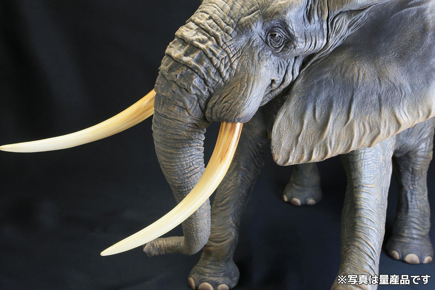 Amazon メガソフビアドバンス アフリカゾウ 約300mm Pvc製 塗装済み完成品フィギュア Msa 007 フィギュア ドール 通販 Amazon メガソフビアドバンス アフリカゾウ 約300mm Pvc製 塗装済み完成品フィギュア Msa 007 フィギュア ドール 通販
