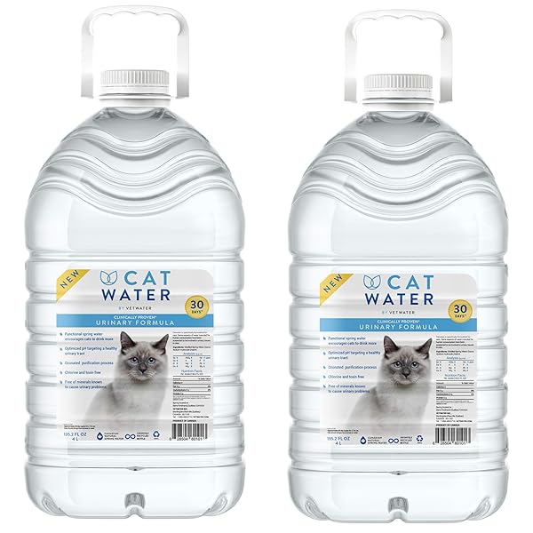 CATWATER BY VETWATER | PH-BALANCED AND MINERAL-FREE CAT WATER | CLINICALLY PROVEN URINARY FORMULA | HELPS PREVENT CAT URINARY ISSUES, FLUTD | 135.2 OZ, 2-PK, CLEAR (CW60101-2)