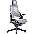 Ergonomic Executive Chair with Adjustable Reclining Backrest, Mesh Seat & Back, Height-Adjustable Seat & Headrest, Tilt Control, and Multi-Directional Armrests – Modern Design for up to 280lbs