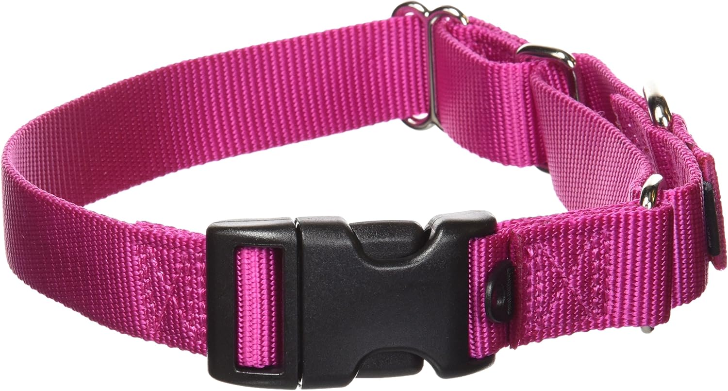 petsafe martingale collar