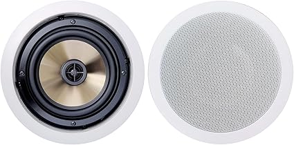 philips ceiling speaker