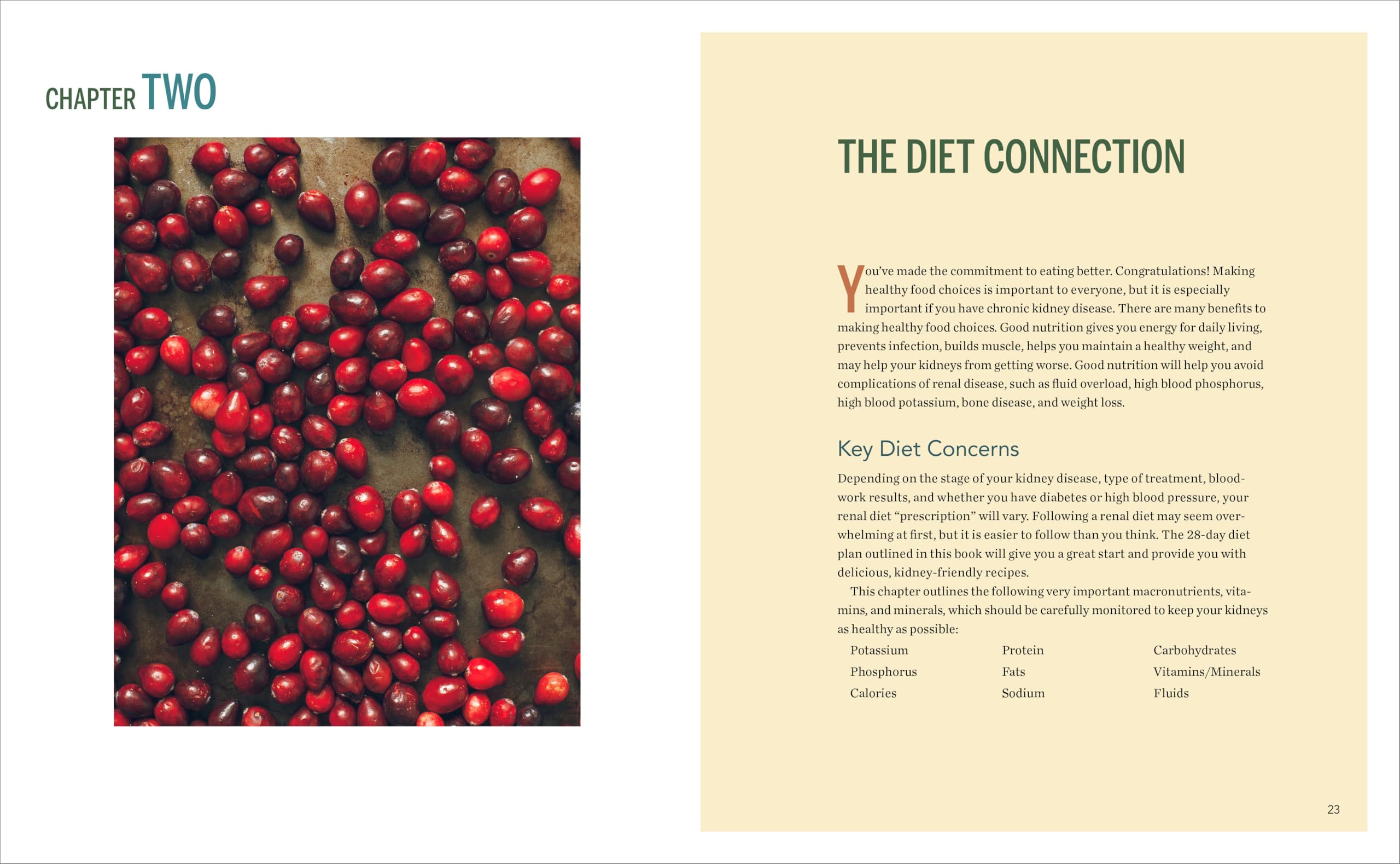 Renal Diet Cookbook: The Low Sodium, Low Potassium, Healthy Kidney Cookbook