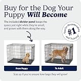 MidWest iCrate 36 Inch Two-Door Folding Dog Crate with Divider Panel view 3