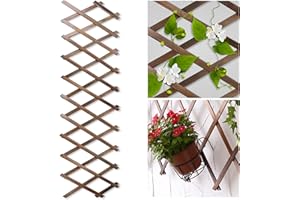 MIUWAUER Wood Lattice Fence Panels for Outside 13.4"x78.8" Expandable Natural Wooden Wall Trellis Board Decorative Lattice Trellis Frame for Climbing Plants Vine Ivy Rose Outdoor Balcony Garden 1 Pcs