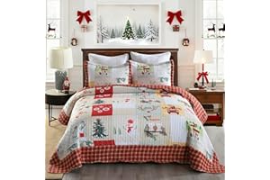 Christmas Quilt Set Queen - Reversible Bedspread Coverlet Snowman Christmas Tree Owl Car Bedding Lightweight Bed Cover - Holi