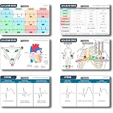 EKG STEMI Pocket Badge Cards - EKG Rapid Interpretation Analysis Nursing Reference, 12 Lead EKG