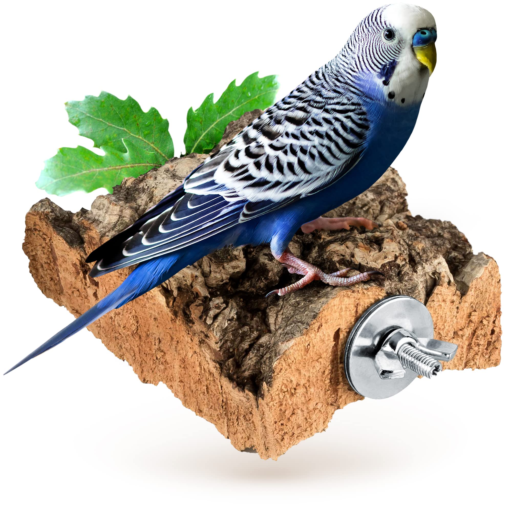 XL Cork Pick Stone for Birds and Rodents Natural Cork Pecking Stone (Natural Cork Bark) for Chewing and Gnawing Cork Bark Bird Accessories & Toys for Bird and Rodents. high-quality stainless steel fixing material.