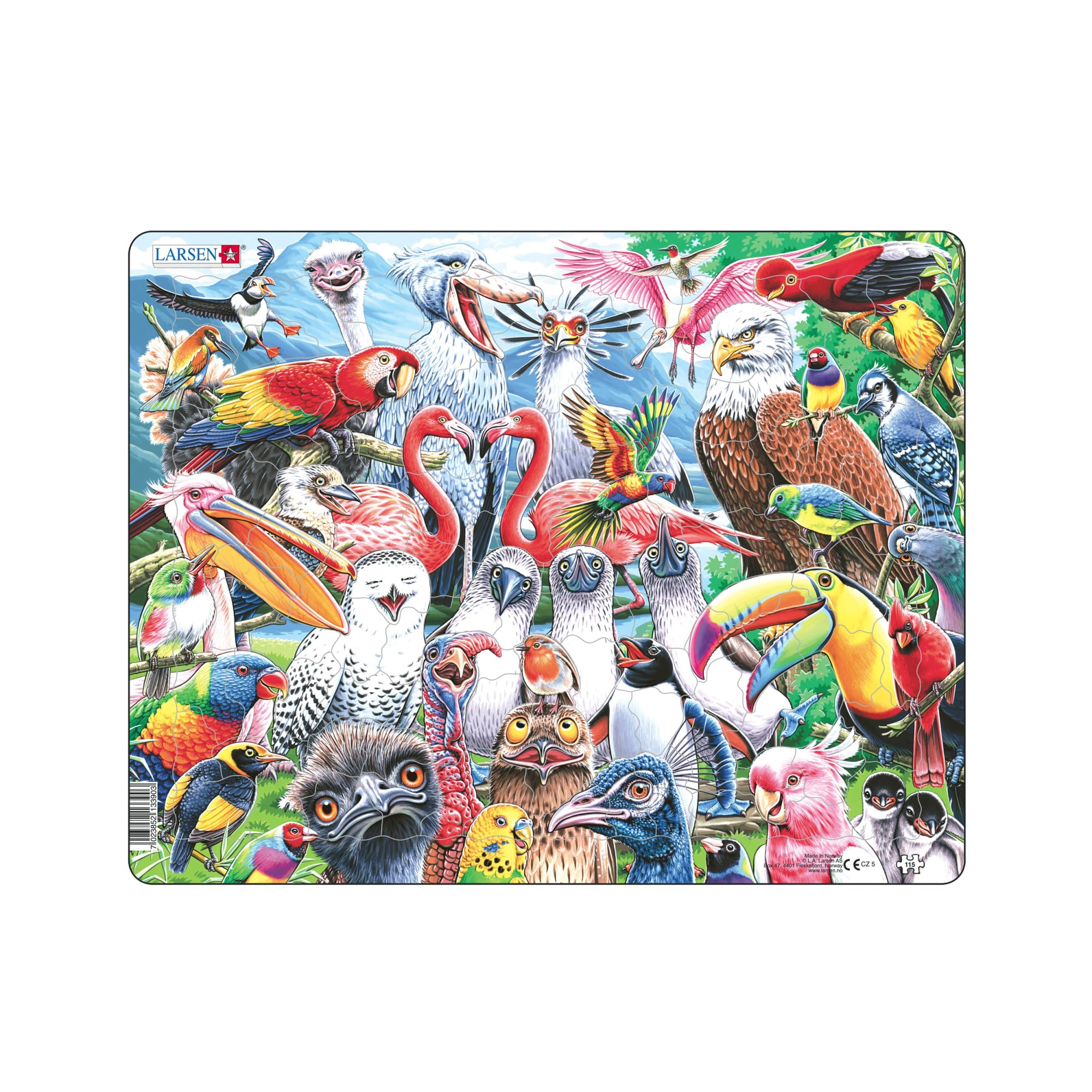 Larsen CZ5 Cheerful Birds from All Over the World Jigsaw Puzzle - 115 Pieces - Fun & Educational Puzzle for Kids Ages 6+ - Boxless Tray & Frame