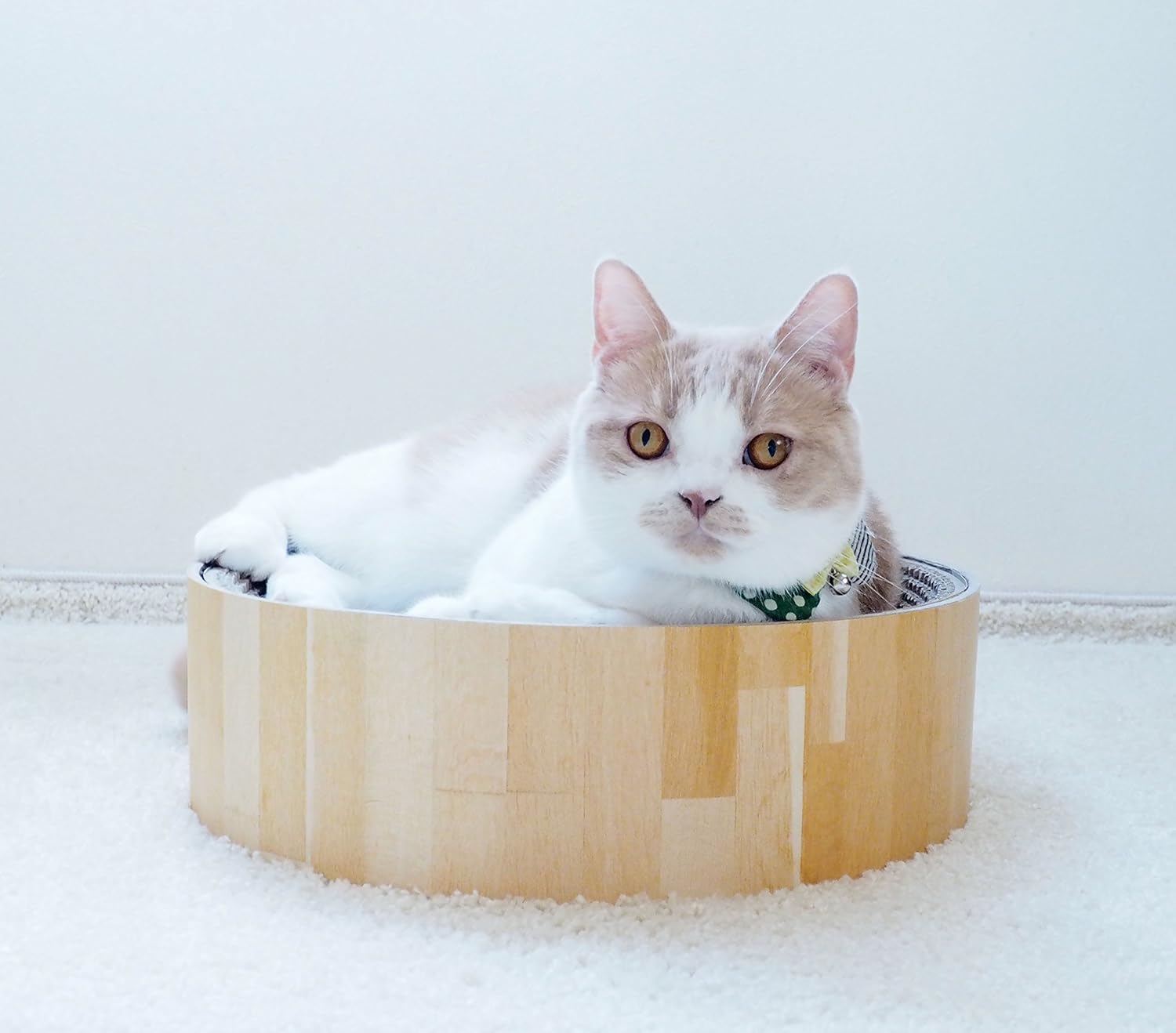 necoichi cozy cat scratcher bowl