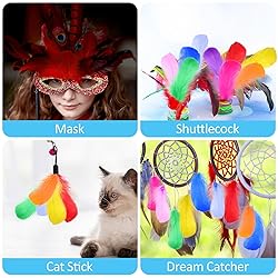 600 Pcs Feathers for Crafting, 3-5 inch Craft