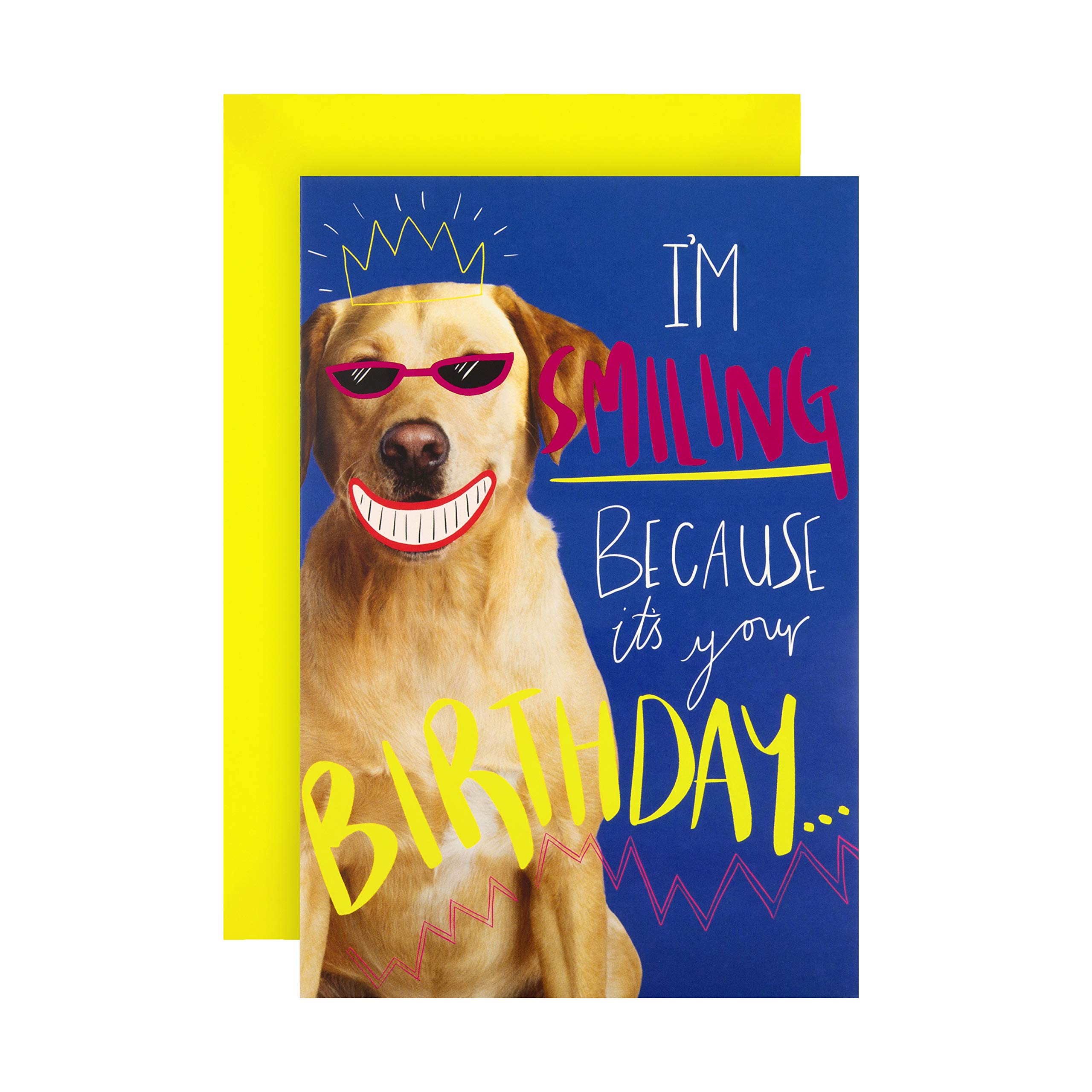 Hallmark Birthday Card - Funny Photographic Smiling Dog Design