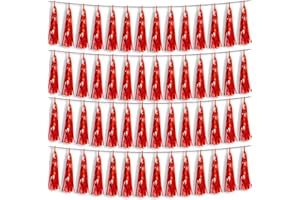 HYSILLA 4P Red Foil Fringe Metallic Tassel Streamers Banner Tassel Garland for Parade Floats, Bachelorette, Wedding, Birthday, Halloween, Christmas, Bridal/Baby Shower Party Decorations