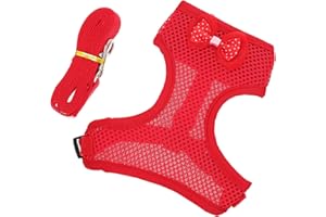 balacoo 1 Set Hen Harness Leash Set Breathable Mesh Bowknot Chicken Vest with Matching Belt for Chicken Duck Goose Small Pets