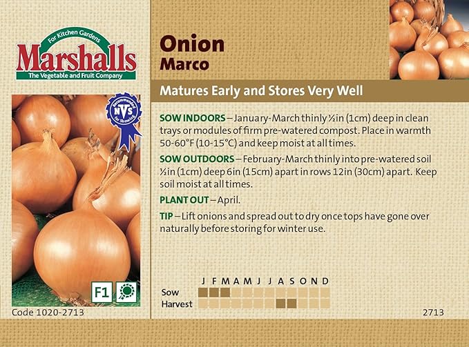 Marshalls Seeds Vegetable Onion Marco Amazon.co.uk Garden & Outdoors