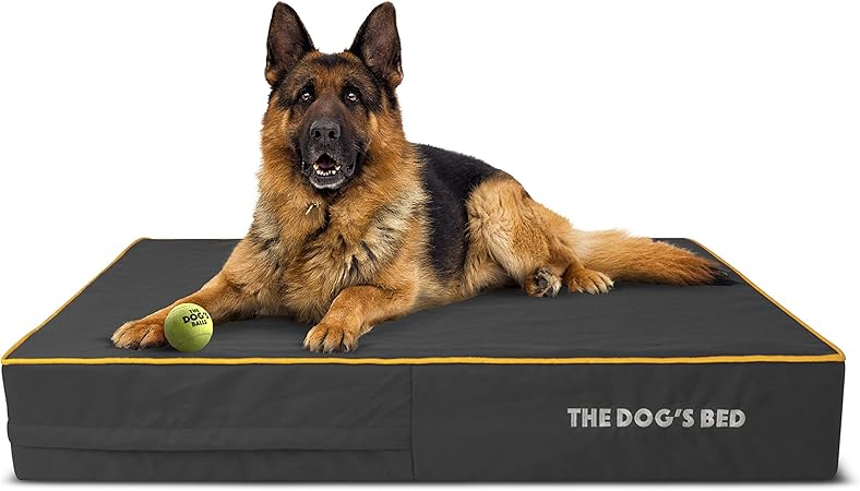 the dogs balls dog bed