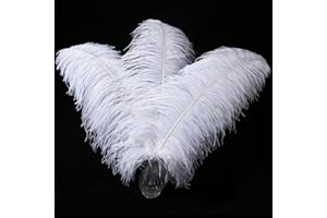 Larryhot White Large Ostrich Feathers - 16-18 inch 10pcs Feathers for Vase,Wedding Party Centerpieces and Home Decorations (White)