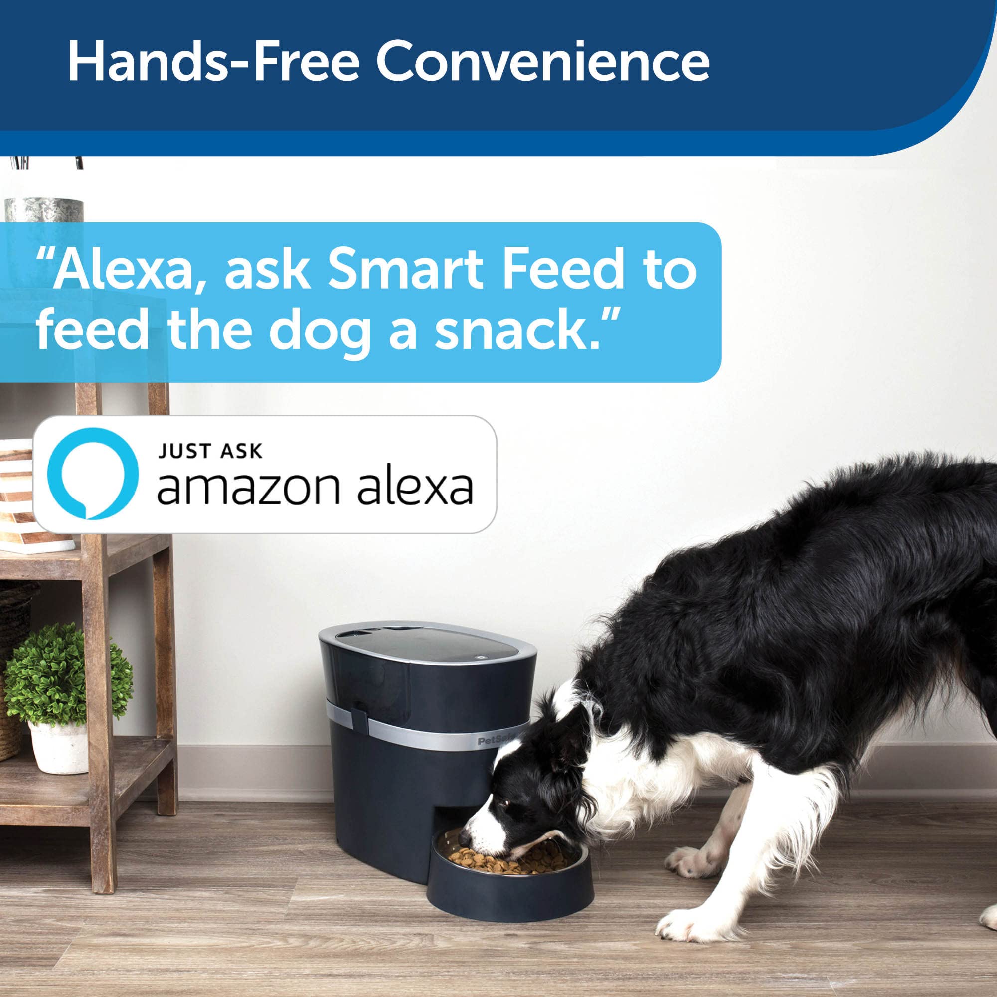 PetSafe Smart Feed Automatic Dog & Cat Feeder - Smartphone Control for Convenient Pet Care - Wi-Fi Enabled Smart Pet Feeder - Programmable Food Feeder - Large Capacity - Dishwasher Safe - View 5