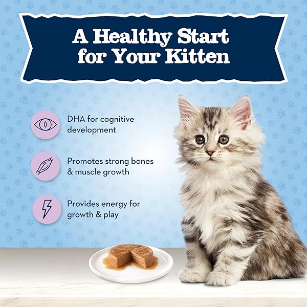 BLUE BUFFALO BABY BLUE NATURAL KITTEN WET CAT FOOD, HEALTHY GROWTH FORMULA WITH DHA, CHICKEN RECIPE MULTI-PACK, 3-OZ. CANS (6 COUNT)