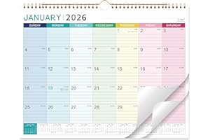 ARTFAN 2026 Calendar - 2026 Wall Calendar, January 2026 - December 2026, 12 Monthly Calendar with Thick Paper, 15" x 11.5", Hanging Hook - Colorful Lump