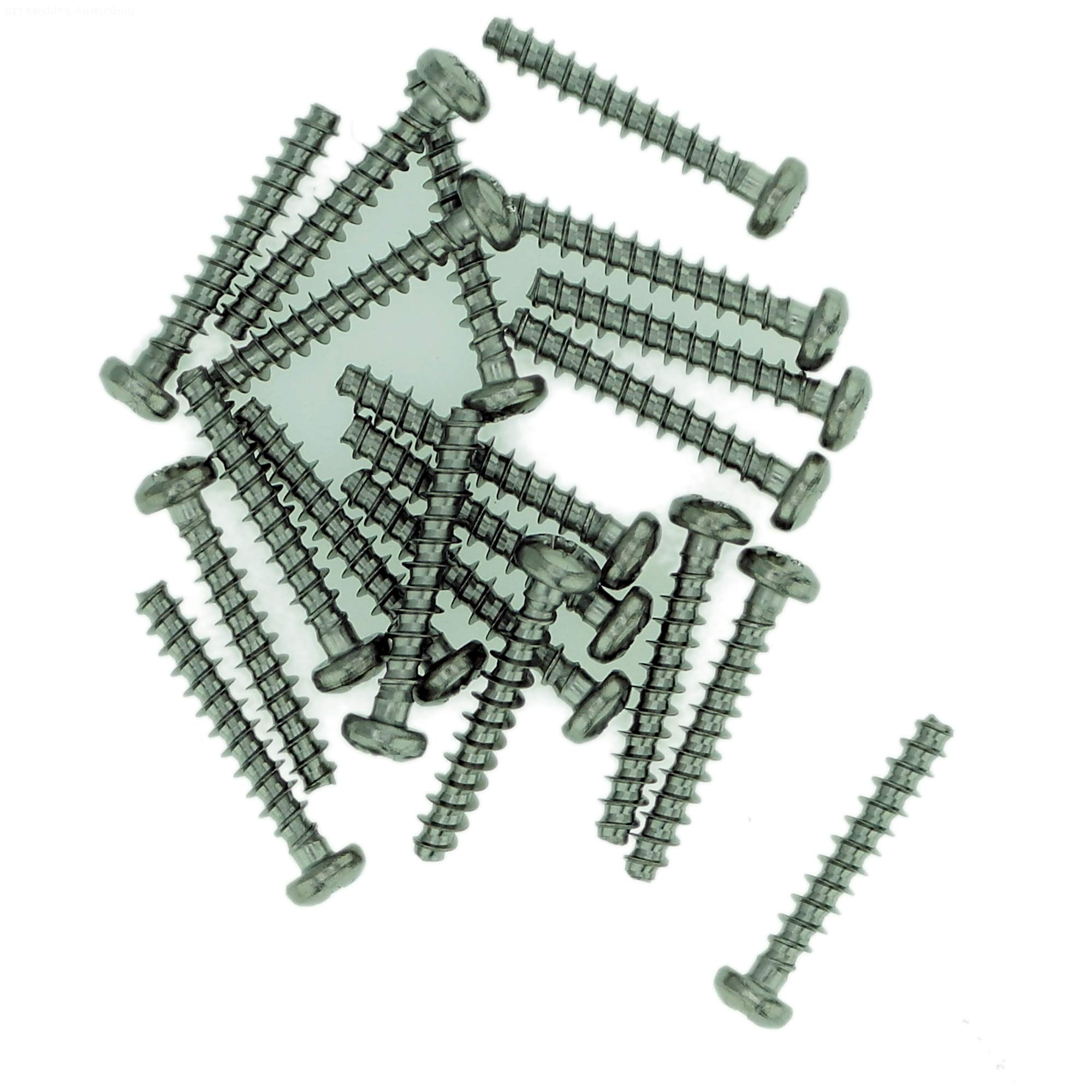 D4 (4mm x 8mm) Pozi Pan Screws for Plastic - Stainless Steel (A2) (Pack of 20)