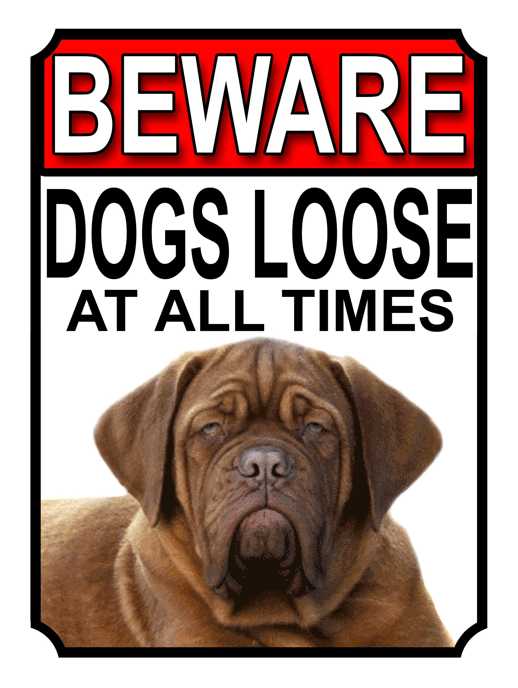 BEWARE DOGS LOOSE AT ALL TIMES METAL SIGN DOGUE DE BORDEAUX 200MM X 150MM (995H1)