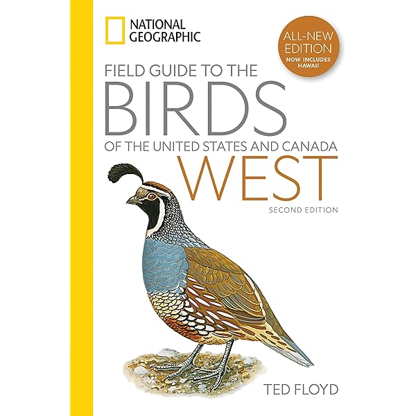Gulls of Europe@ Asia and North America (Helm Identification