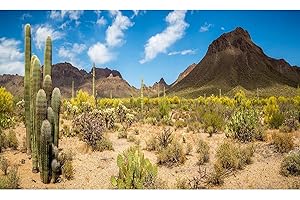 ZATIASMILLER Desert Reptile Tank Background Saguaro Cacti Blue Sky Desert Landscape Terrarium Background Cactus Thorns Gobi Mountain Reptile Enclosure Background Rock Mountain Aquarium Background 48x24in