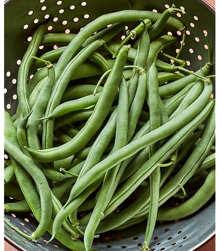 Beansページ Amazon.com : TomorrowSeeds - Jade Green Bean Seeds - 150+