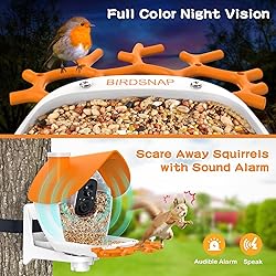 birdsnap® MON - Smart Bird Feeder with Camera, 2K