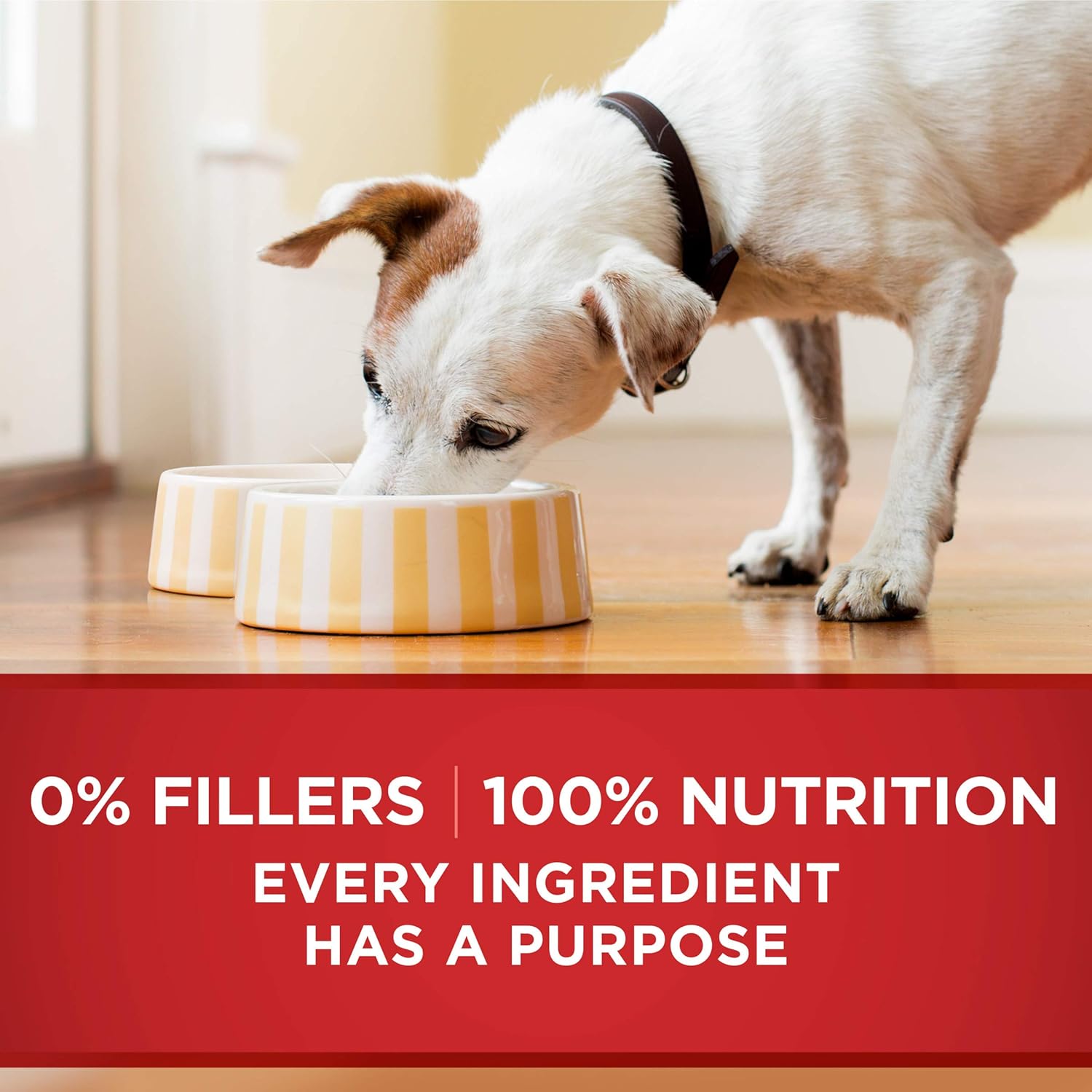 Purina ONE Natural, High Protein Gravy Wet Dog Food, SmartBlend Tender Cuts Chicken & Brown Rice - (12) 13 oz. Cans: Pet Snack Treats: Pet Supplies: 