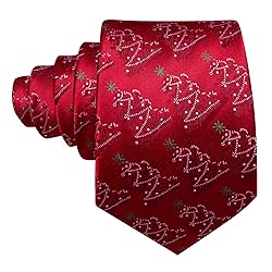 Barry.Wang Christmas Tie for Men with Tie Clip Xmas