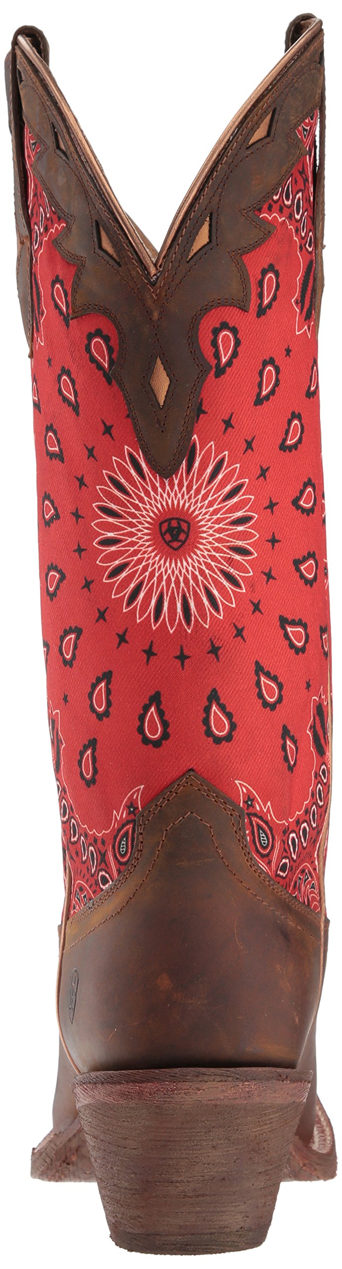 ariat circuit cheyenne